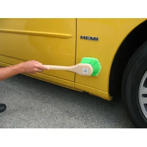 Long Flagged Bristle Body Brush