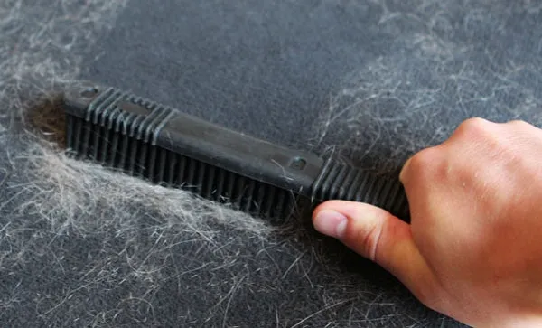 Rubber Pet Hair Removal Brush