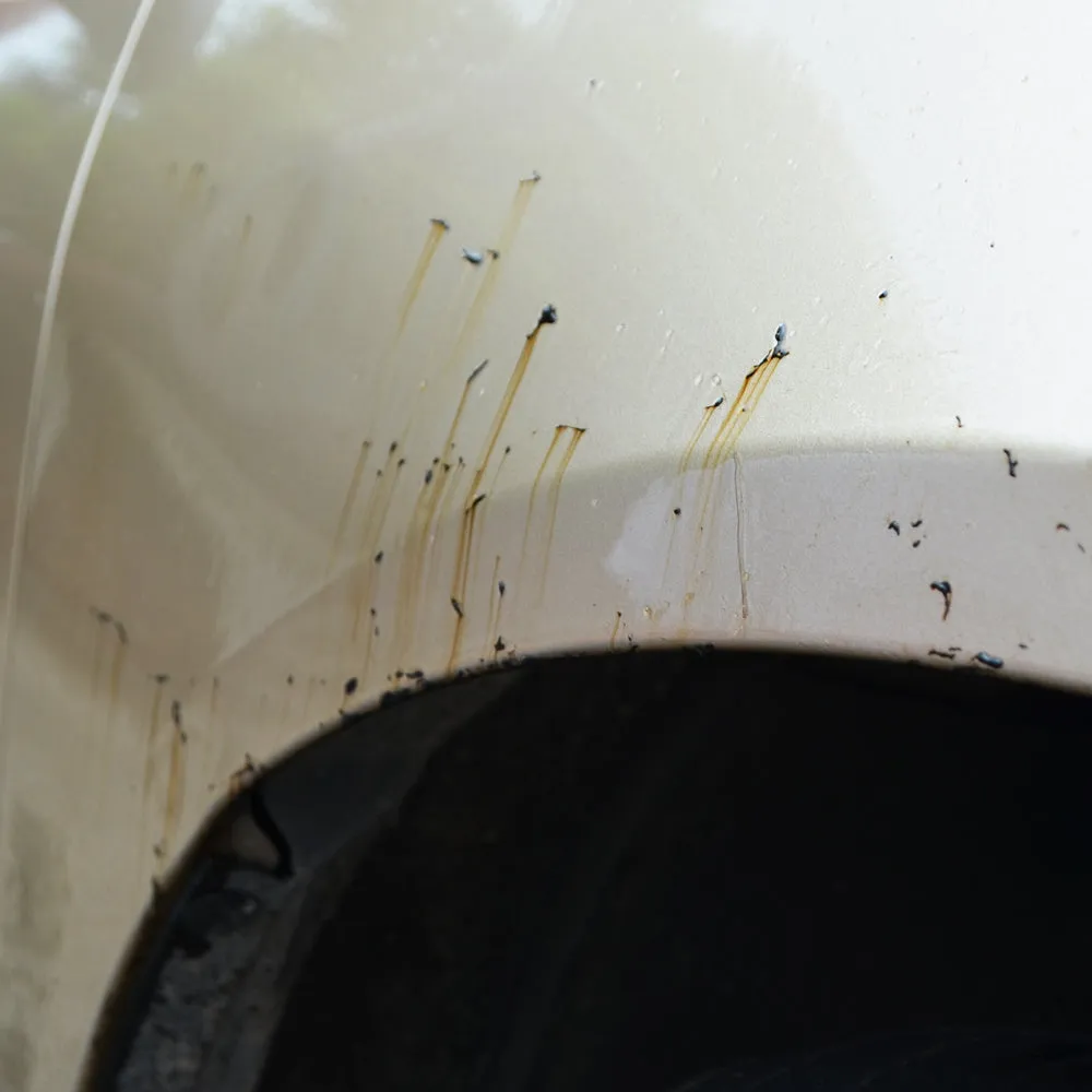 Tar Remover